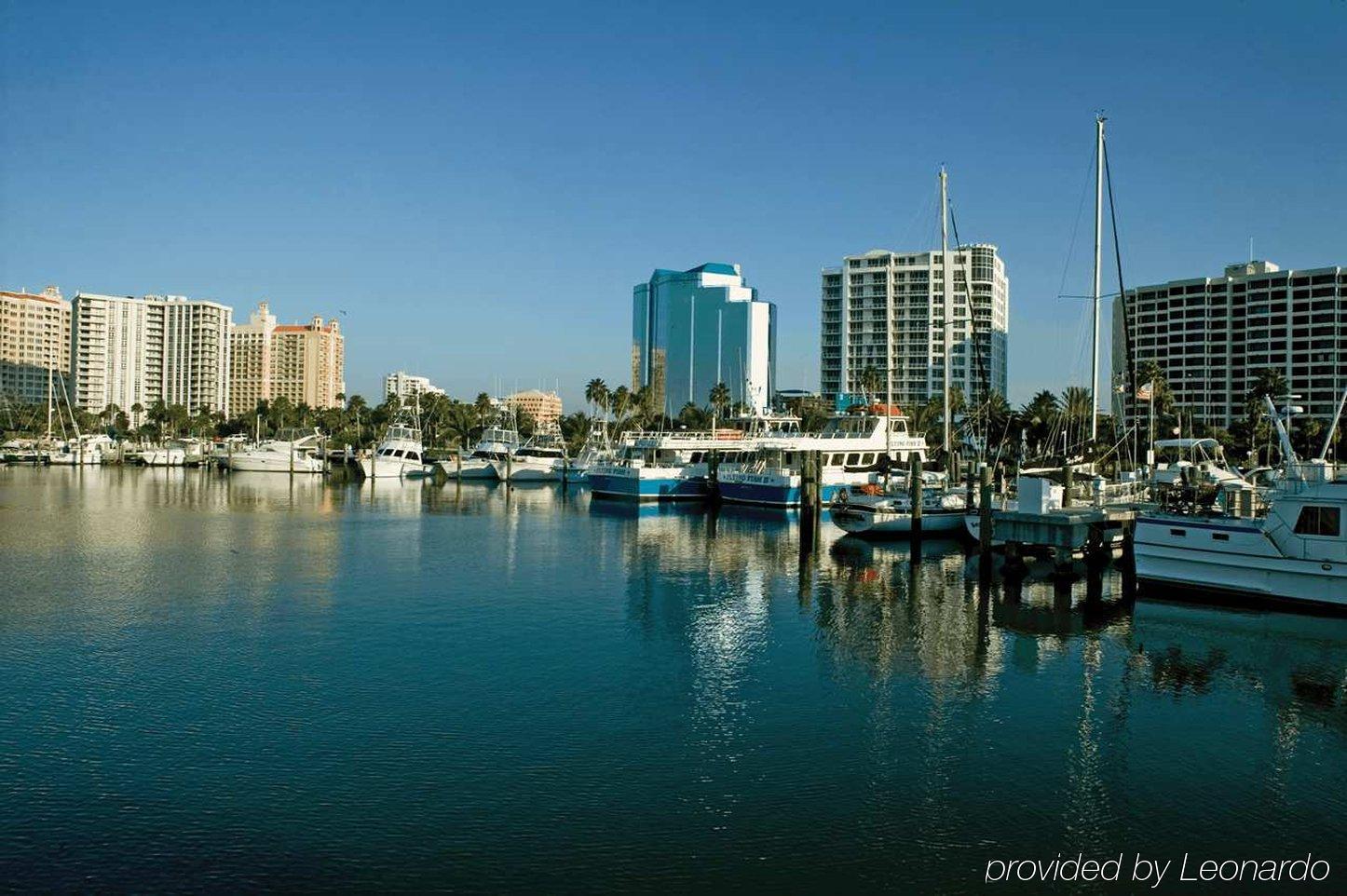 Hilton Garden Inn Sarasota-Bradenton Airport Екстериор снимка