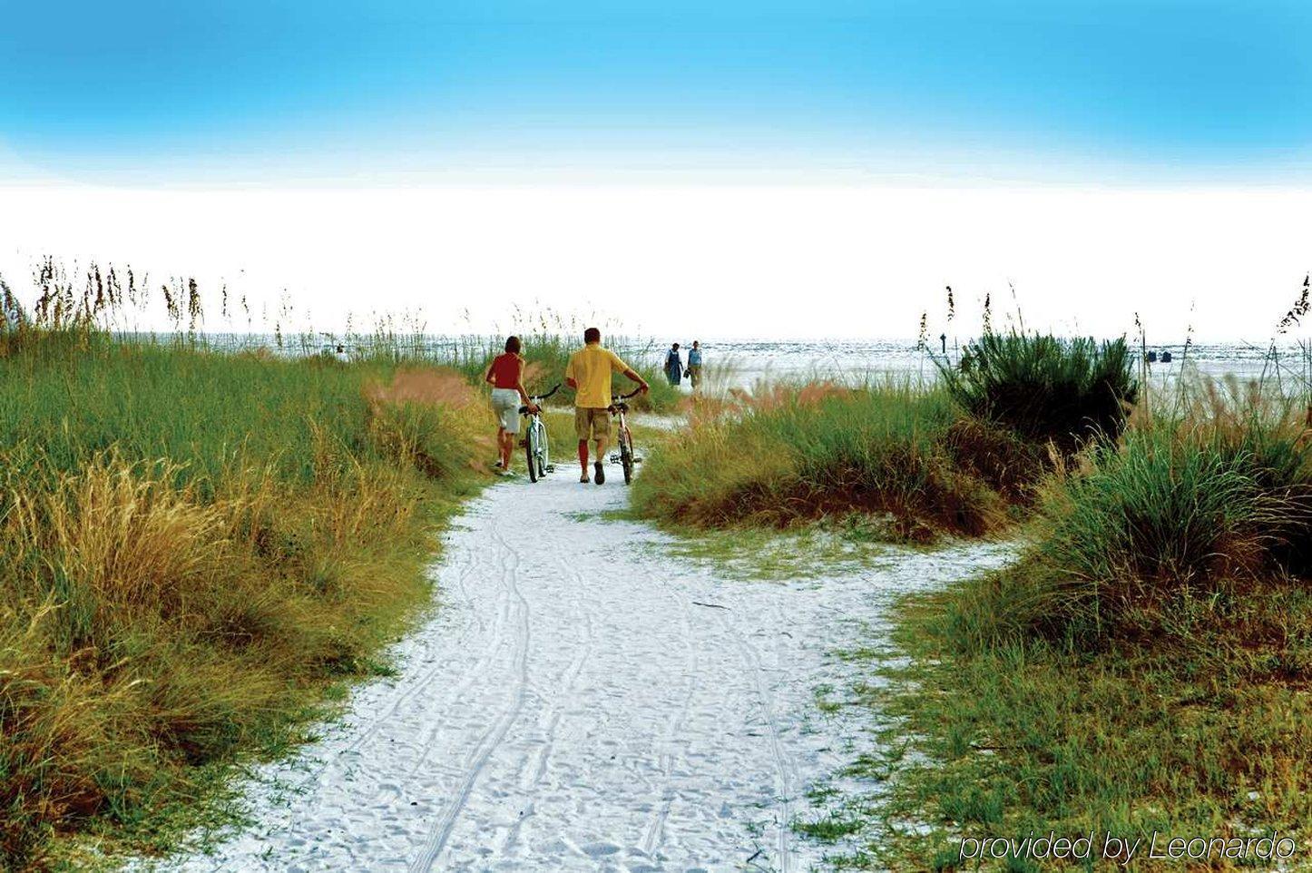 Hilton Garden Inn Sarasota-Bradenton Airport Екстериор снимка
